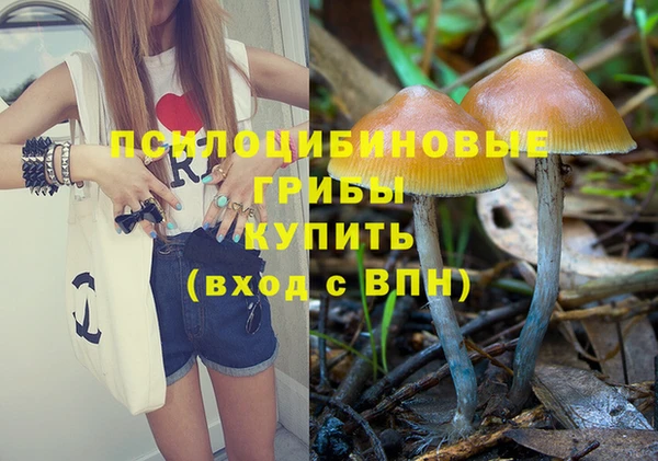 соль курить ск Алзамай